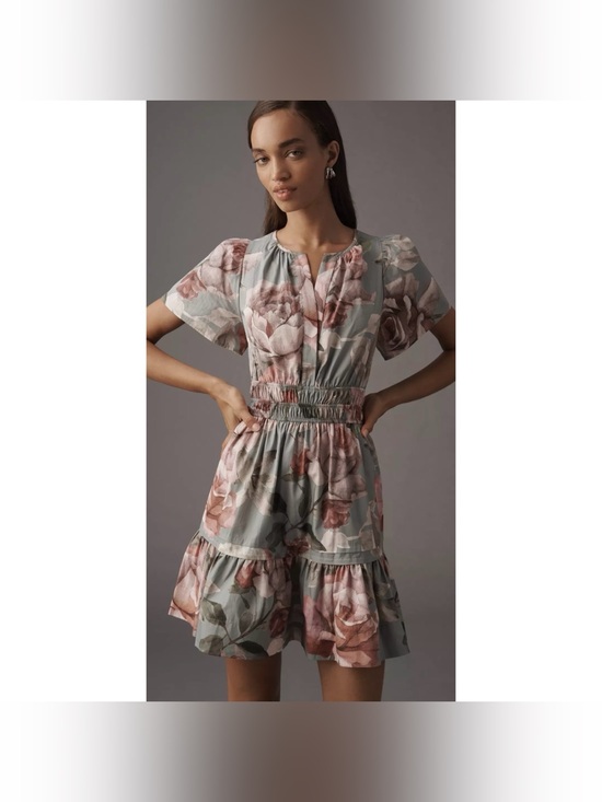 Anthropologie Dresses & Skirts - Anthropologie x Loverly Grey Somerset Mini Dress Floral Size SP